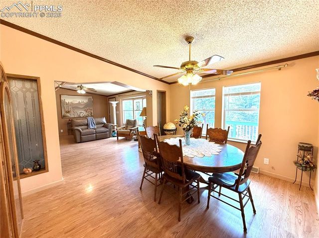 17 Amanda Circle, Florissant, CO 80816