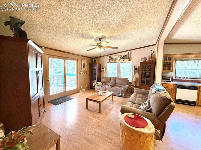 17 Amanda Circle, Florissant, CO 80816