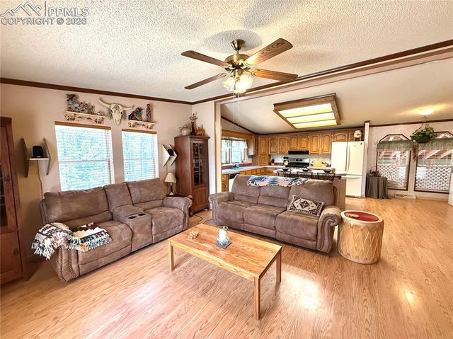 17 Amanda Circle, Florissant, CO 80816