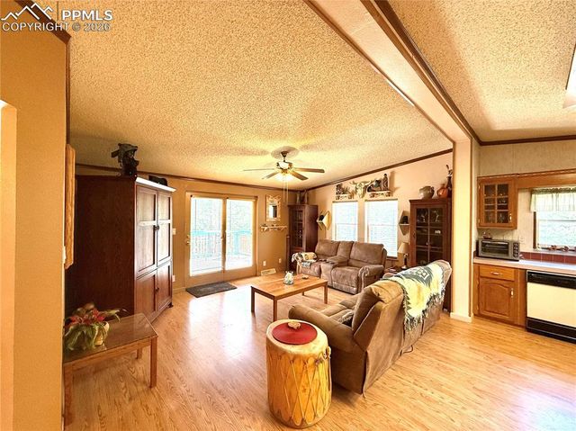 17 Amanda Circle, Florissant, CO 80816