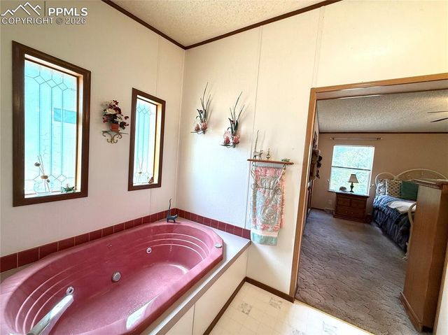 17 Amanda Circle, Florissant, CO 80816