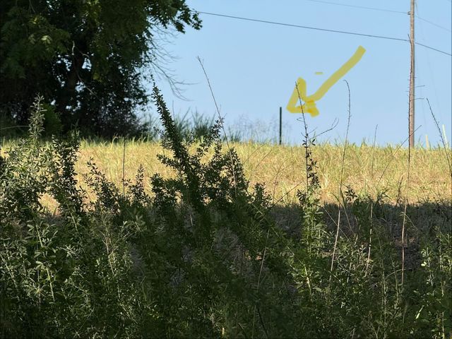 16+- Acres Spring Valley Road, Shell Knob, MO 65747