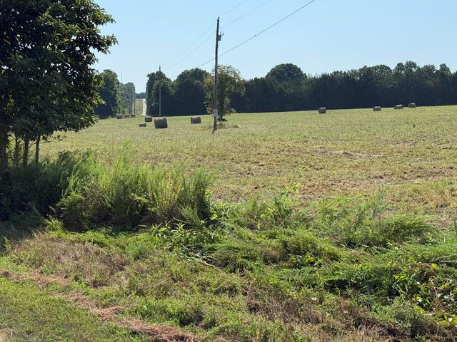 16+- Acres Spring Valley Road, Shell Knob, MO 65747