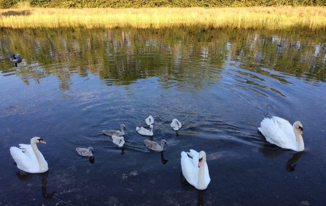 160 NW 166th Ave, Pembroke Pines, FL 33028