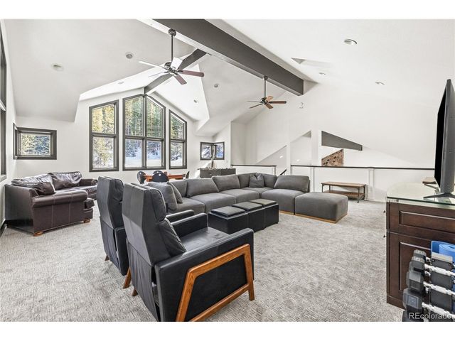 507 County Road 674, Blue River, CO 80424