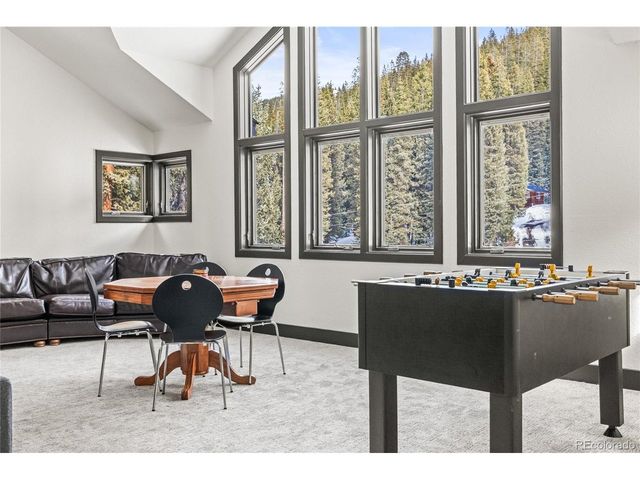 507 County Road 674, Blue River, CO 80424