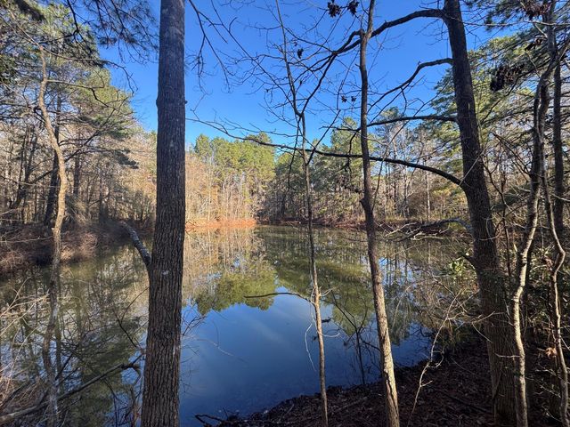 2080 County Road 1100, Woodville, TX 75979