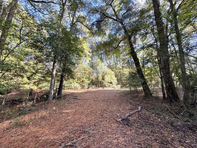 2080 County Road 1100, Woodville, TX 75979