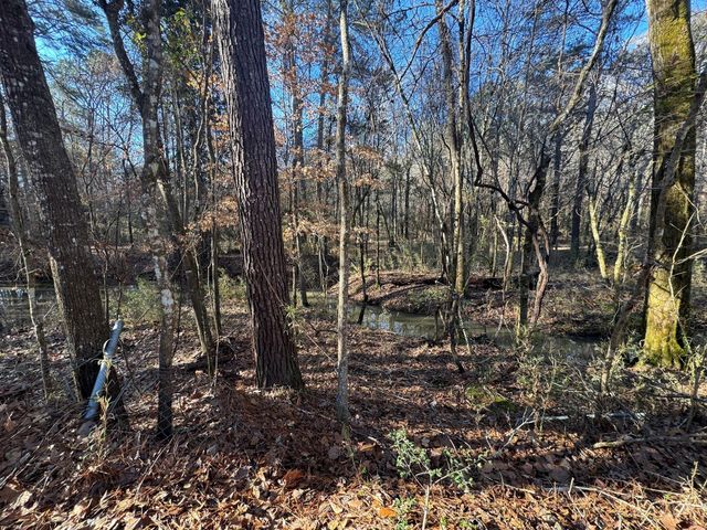 2080 County Road 1100, Woodville, TX 75979