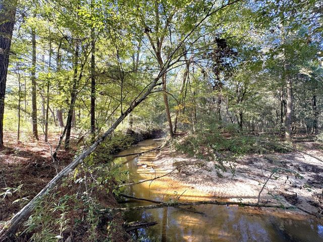 2080 County Road 1100, Woodville, TX 75979