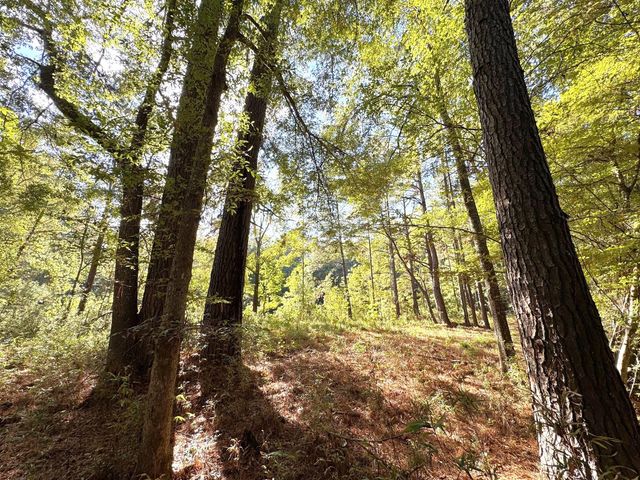 2080 County Road 1100, Woodville, TX 75979