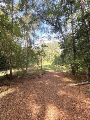 2080 County Road 1100, Woodville, TX 75979