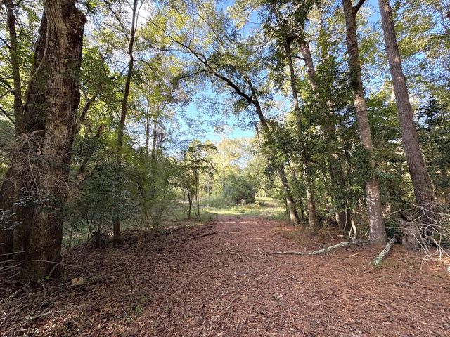 2080 County Road 1100, Woodville, TX 75979