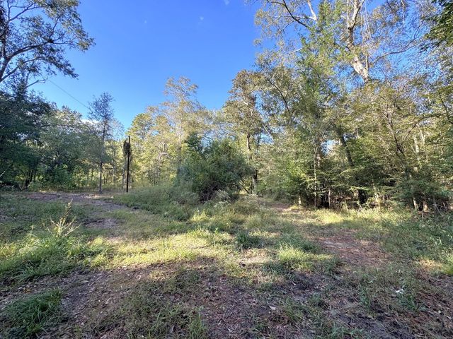 2080 County Road 1100, Woodville, TX 75979