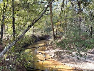 2080 County Road 1100, Woodville, TX 75979