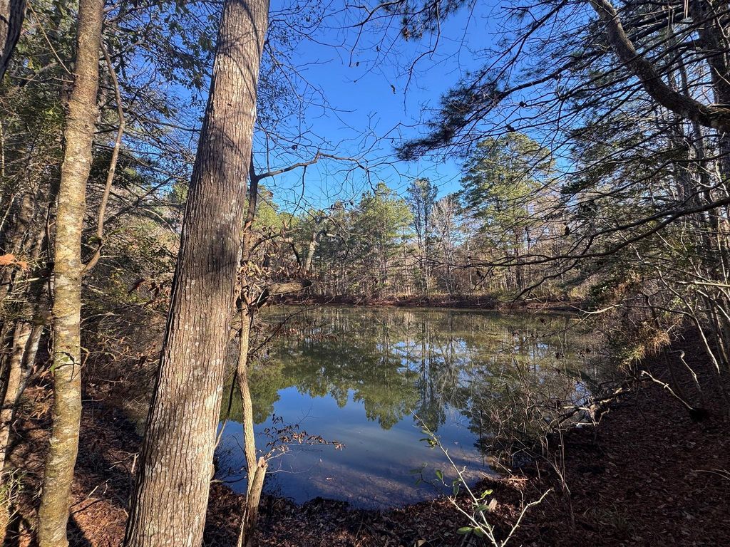 2080 County Road 1100, Woodville, TX 75979