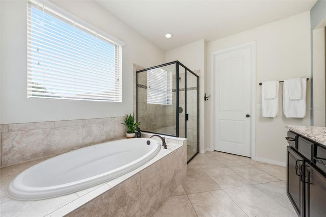 30040 DONNINGTON LOOP, Mount Dora, FL 32757