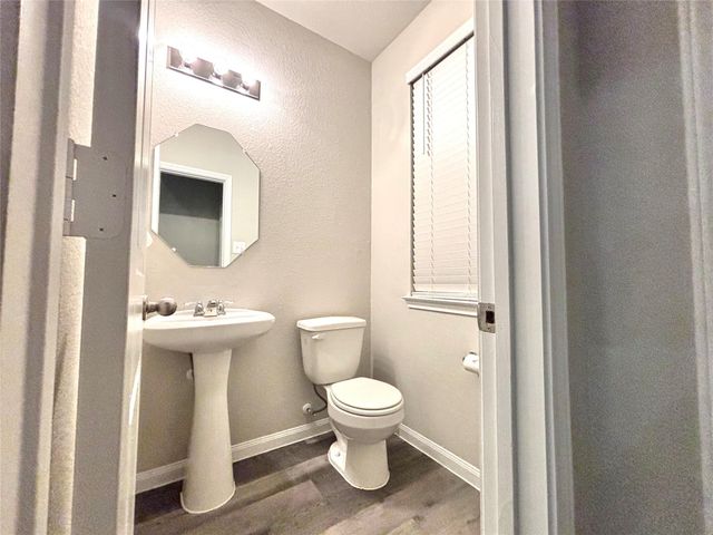 23663 Rainbow Eucalyptus Drive, Spring, TX 77373