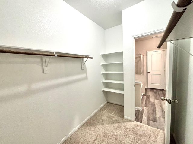 23663 Rainbow Eucalyptus Drive, Spring, TX 77373