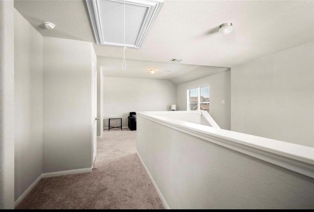 23663 Rainbow Eucalyptus Drive, Spring, TX 77373