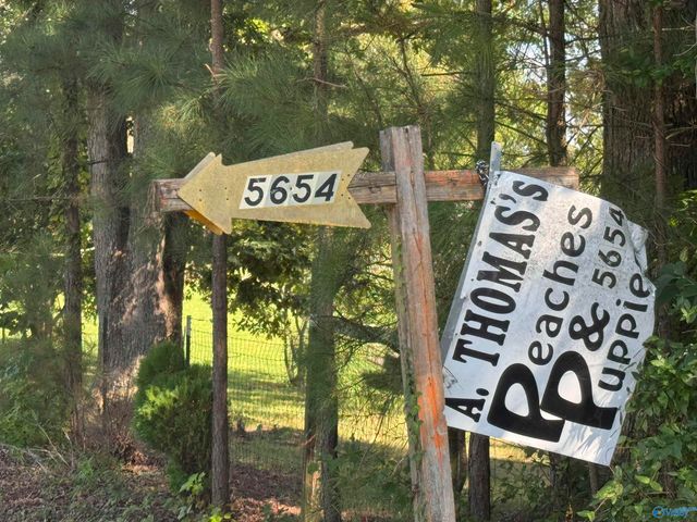 5654 County Road 39, Fackler, AL 35746