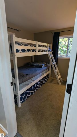 2552 E Birch Court, Cedar, MI 49621