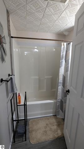 2552 E Birch Court, Cedar, MI 49621