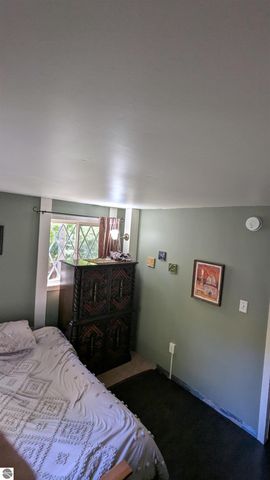 2552 E Birch Court, Cedar, MI 49621