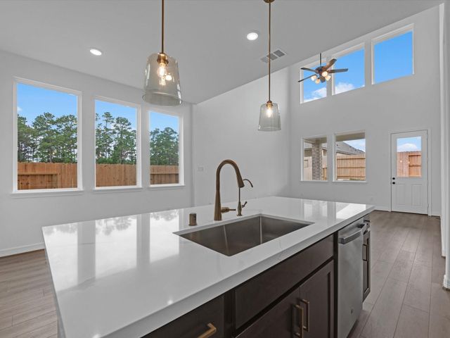 21550 Witham Promenade Lane, Magnolia, TX 77355