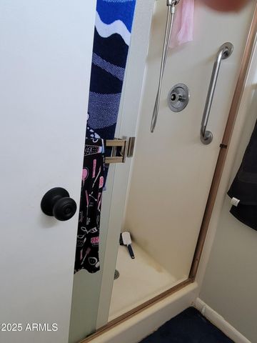 10241 N 109TH Avenue, Sun City, AZ 85351