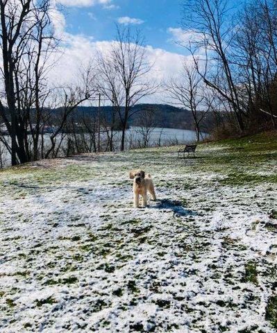 107 Center Street, East Bethlehem, PA 15348