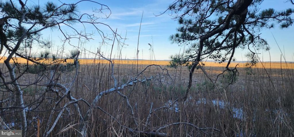 Lot 55 NEPTUNE DR, Greenbackville, VA 23356