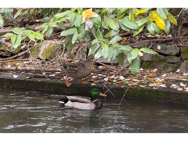 8333 Se 23RD Ave, Portland, OR 97202