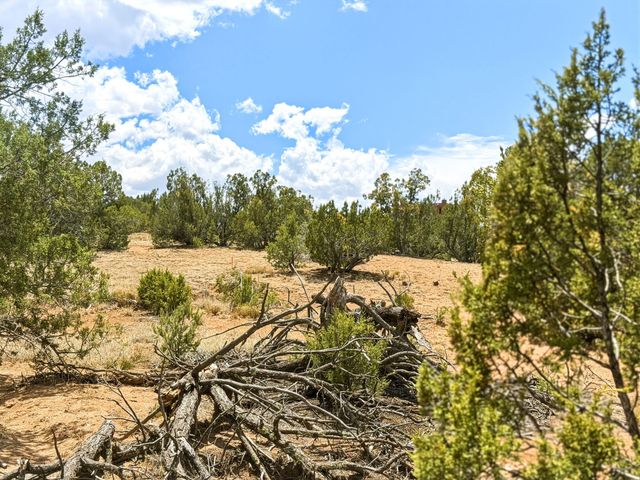 14 Camino Ladera, Santa Fe, NM 87506