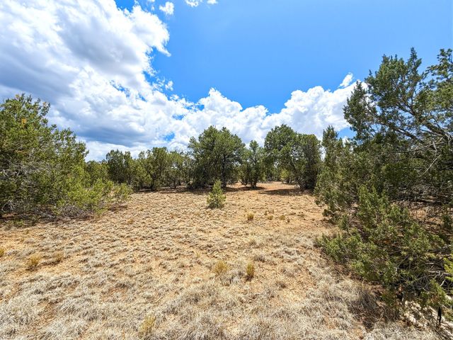 14 Camino Ladera, Santa Fe, NM 87506