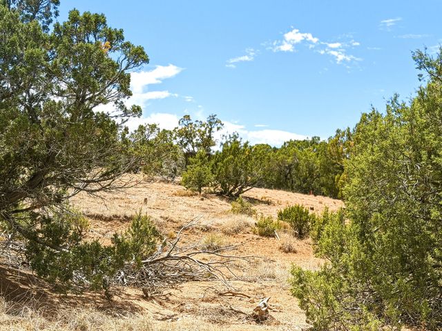 14 Camino Ladera, Santa Fe, NM 87506
