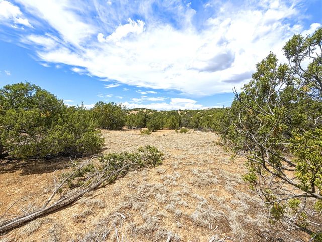 14 Camino Ladera, Santa Fe, NM 87506
