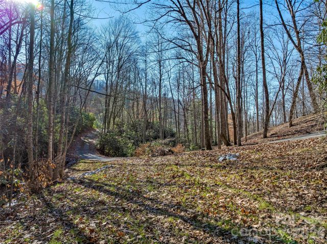 9999 Coy-Evie Lane, Laurel Park, NC 28739