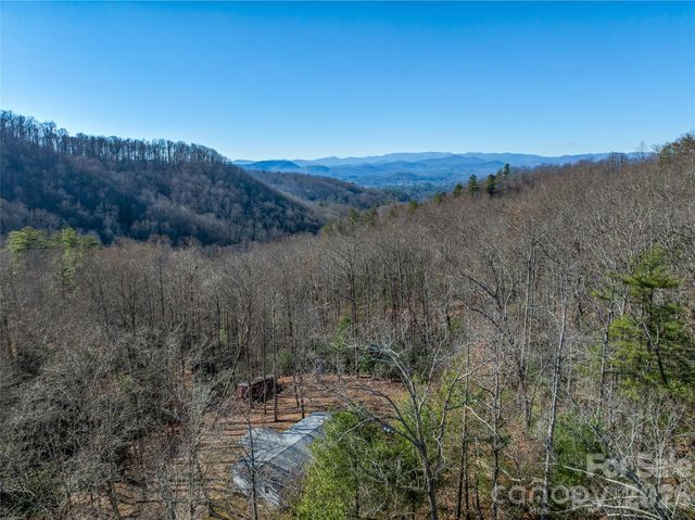 9999 Coy-Evie Lane, Laurel Park, NC 28739