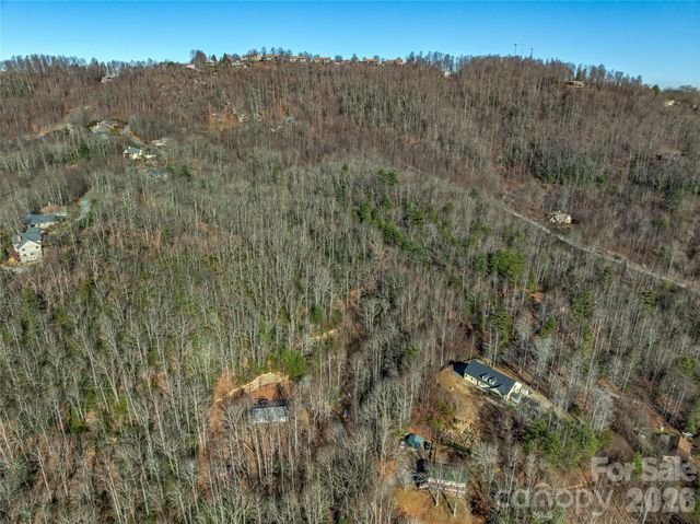 9999 Coy-Evie Lane, Laurel Park, NC 28739