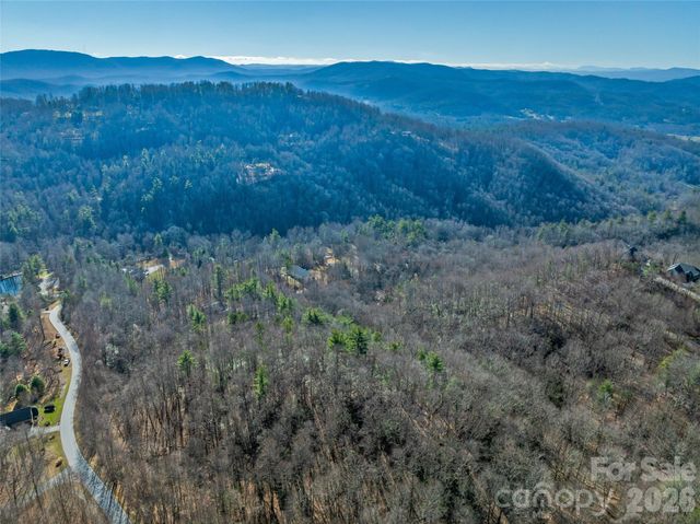 9999 Coy-Evie Lane, Laurel Park, NC 28739