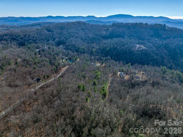 9999 Coy-Evie Lane, Laurel Park, NC 28739