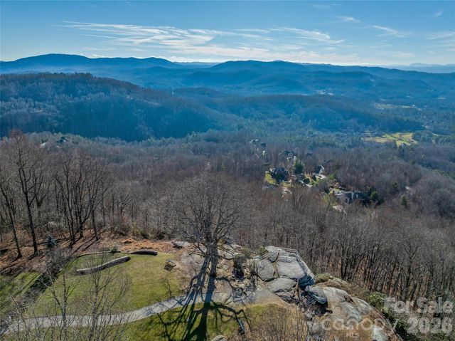 9999 Coy-Evie Lane, Laurel Park, NC 28739