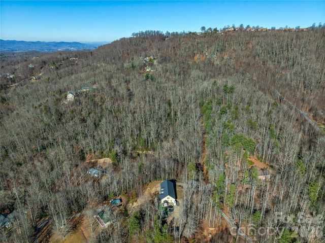 9999 Coy-Evie Lane, Laurel Park, NC 28739