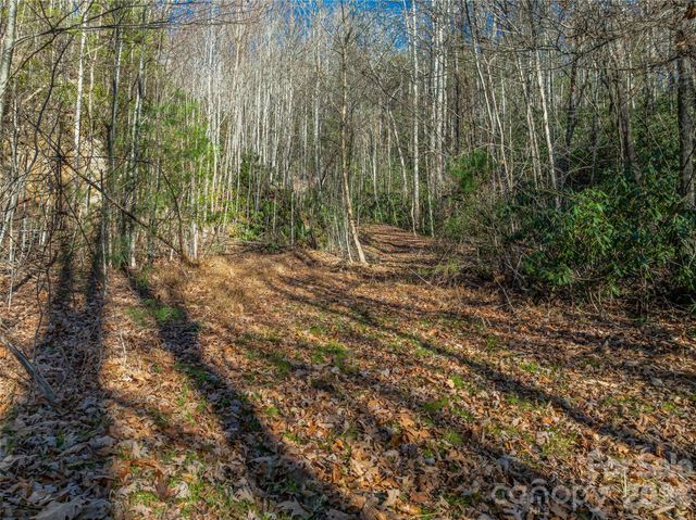 9999 Coy-Evie Lane, Laurel Park, NC 28739