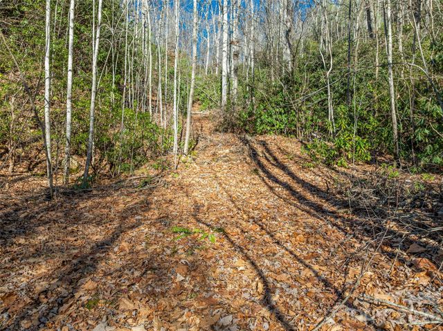 9999 Coy-Evie Lane, Laurel Park, NC 28739