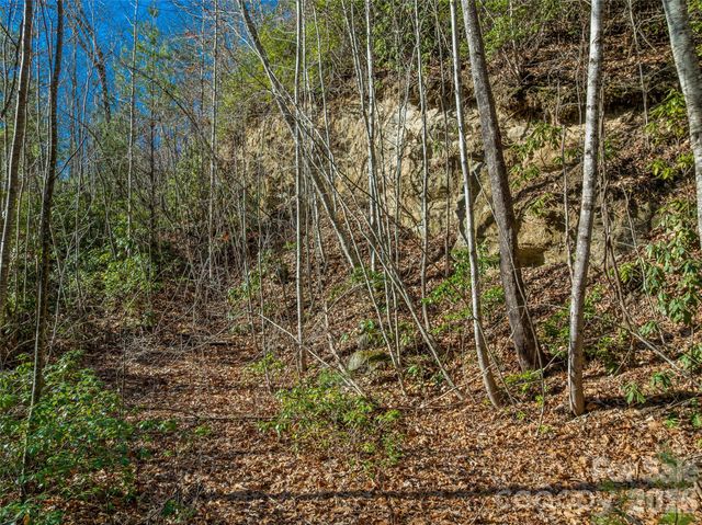 9999 Coy-Evie Lane, Laurel Park, NC 28739