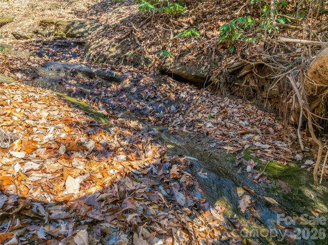 9999 Coy-Evie Lane, Laurel Park, NC 28739