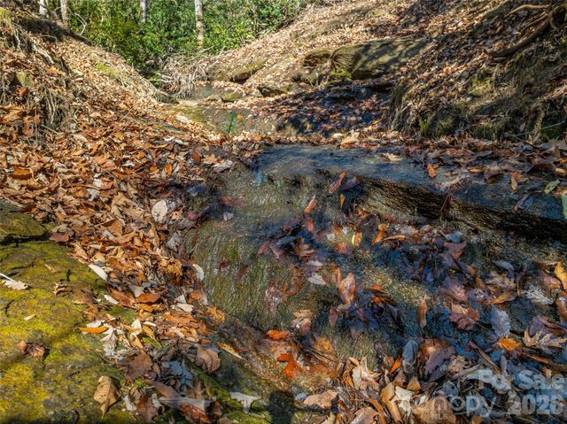 9999 Coy-Evie Lane, Laurel Park, NC 28739