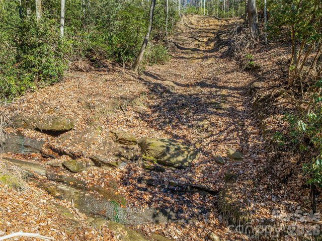 9999 Coy-Evie Lane, Laurel Park, NC 28739